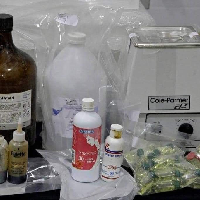 WhatsApp Image 2024 11 10 At 11.30.15 AM