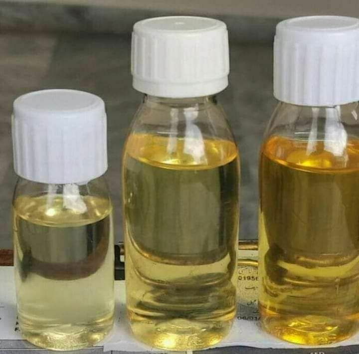 WhatsApp Image 2024 11 10 At 11.30.47 AM